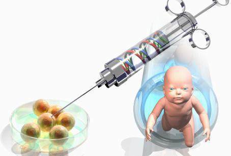 体外受精 IVF-ET